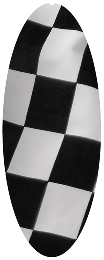 DNSA18-341 Checkered Flag